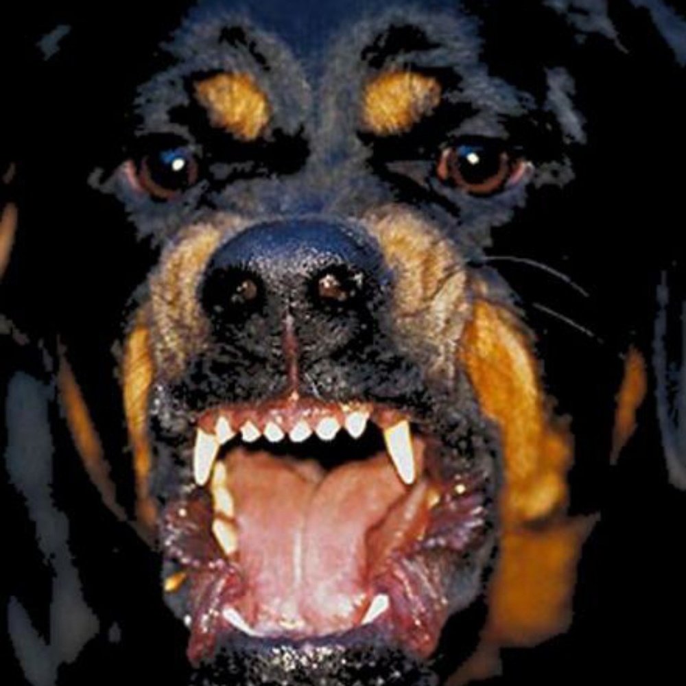 Meet your Posher, Erik